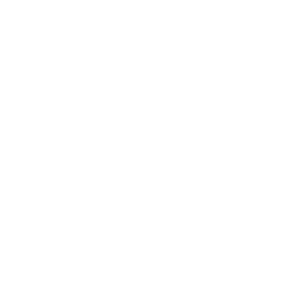 PMPS White Logo